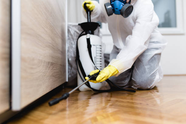 Wasp Removal Services in Mountain View Ranches, AZ