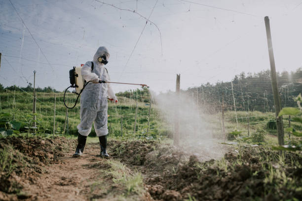 Professional Pest Control in Mountain View Ranches, AZ